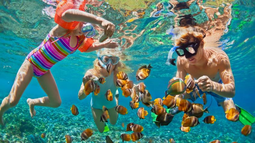 ☀Мальдивы Нас часто спрашивают, а чем же заниматься на Мальдивах и какие экскурсии есть?    ✔Снорклинг среди потрясающей красоты коралловых рифов Одной из самых интересных вещей, которые обязательно нужно сделать на Мальдивах в отеле с хорошим домашним рифом, является подводное плавание, даже если вы ни разу этим не занимались.⠀    ✔Выездной снорклинг Если домашний риф отеля не очень богат или Вы хотите посмотреть что-то другое, то для Вас устраивают выездную экскурсию для того, чтобы посмотреть риф в дру