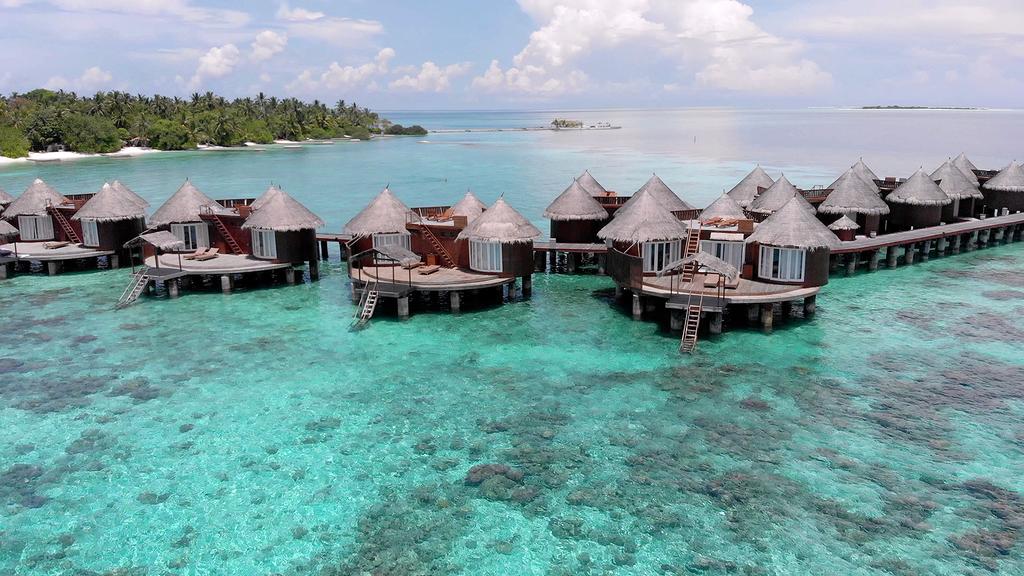 Отдых на Мальдивах. Хит продаж отель Nika Island Resort & Spa 5* (Ари Атолл)