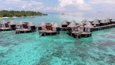 Nika Island Resort & Spa Maldives – тропический остров-курорт с итальянским менеджментом: более 20 лет он принадлежит компания «Интравко». Гостей острова ждет размеренный отдых в эксклюзивных виллах с частными пляжами. Уютную атмосферу на острове обеспечивают отличный сервис и доброжелательный персонал.   Название курорта происходит от названия многовекового фикуса Бенгалезис – на мальдийском языке «Ника indivehi», который произрастает на территории острова.   На курорте работает дайвинг-центр, где можно пр
